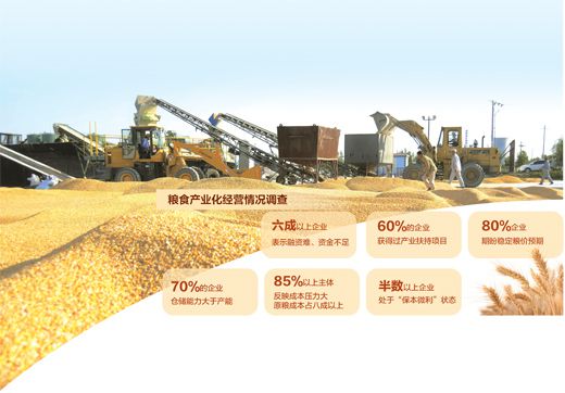 贝农最新图片，视觉下的新观察与解读首览