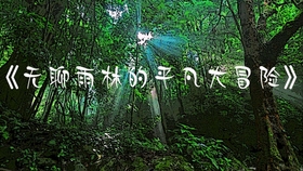 中交杨永胜探险之旅，追寻自然美景，探寻内心宁静之道