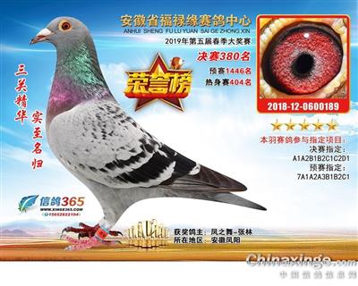 公棚最新招聘，缘分与友情的交响，寻找有缘人共筑梦想团队