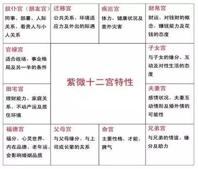 紫微最新动向及观点论述解析
