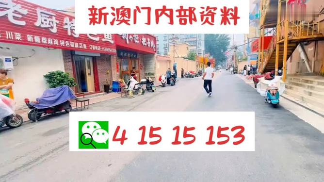 20024新澳天天开好彩大全160期,安全保障措施_便携版31.704