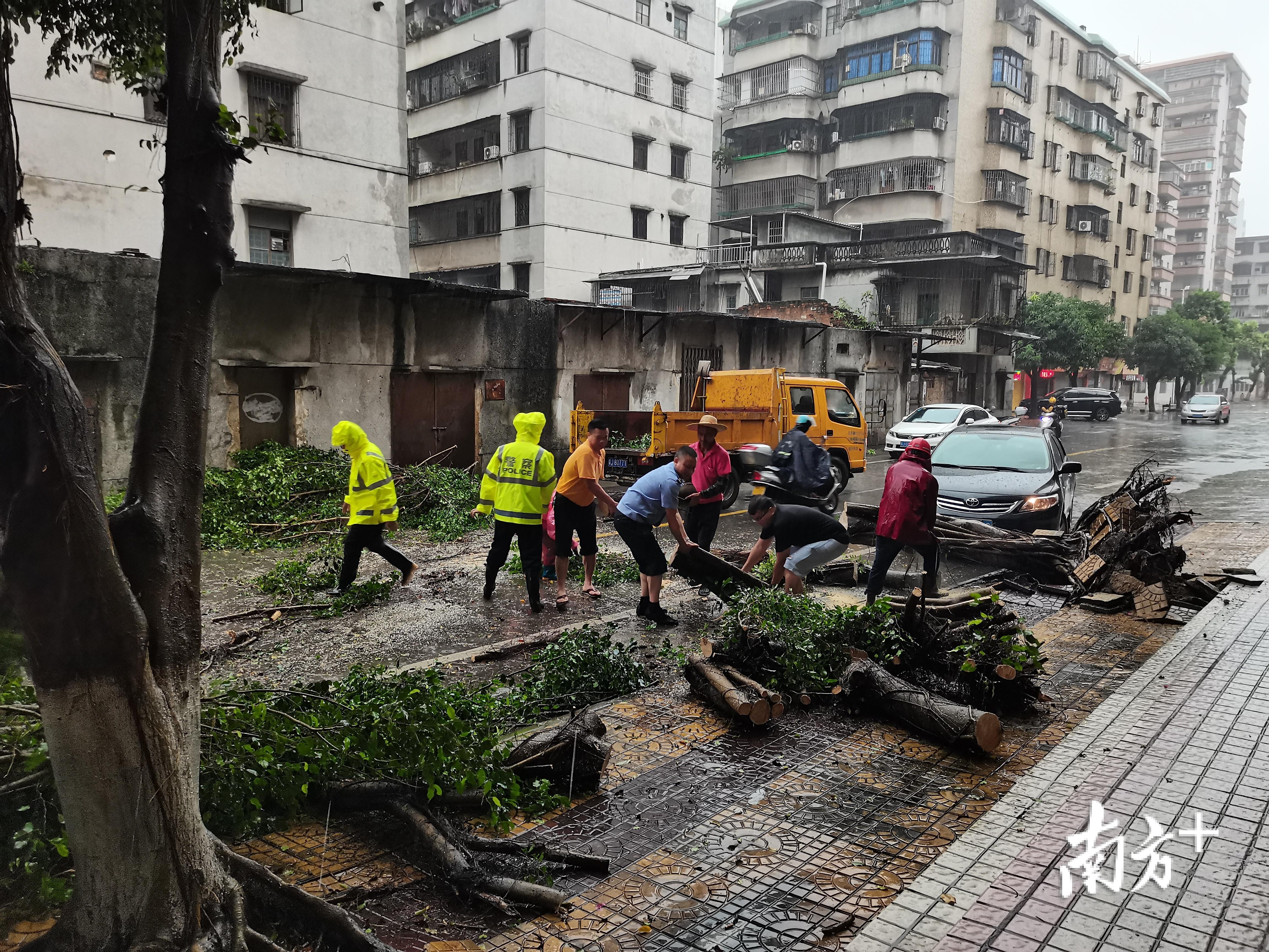 江门台风最新预警信号下的生活趣事与温馨日常