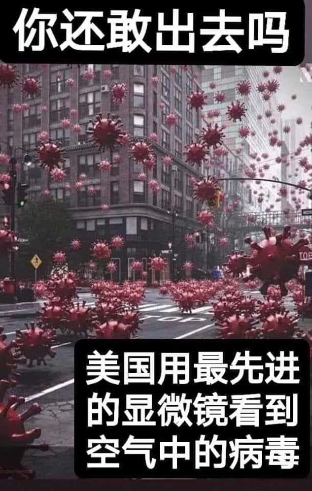 北京新冠病毒最新动态，变化中的力量与学习的魅力
