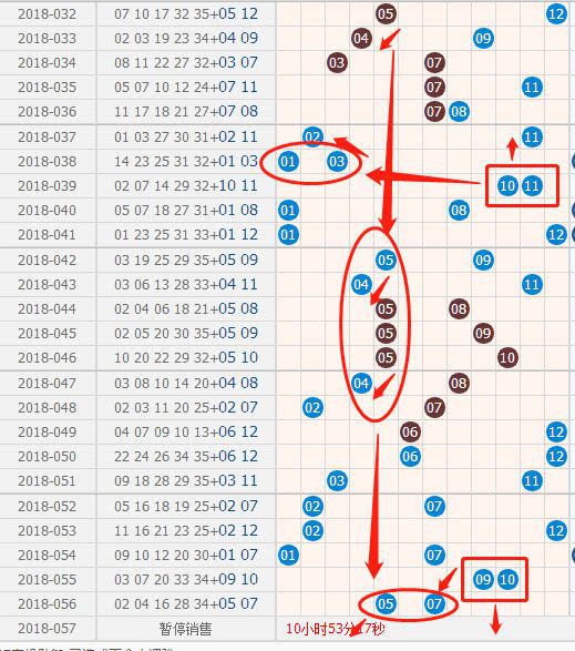今天大乐透最新预测及步骤指南