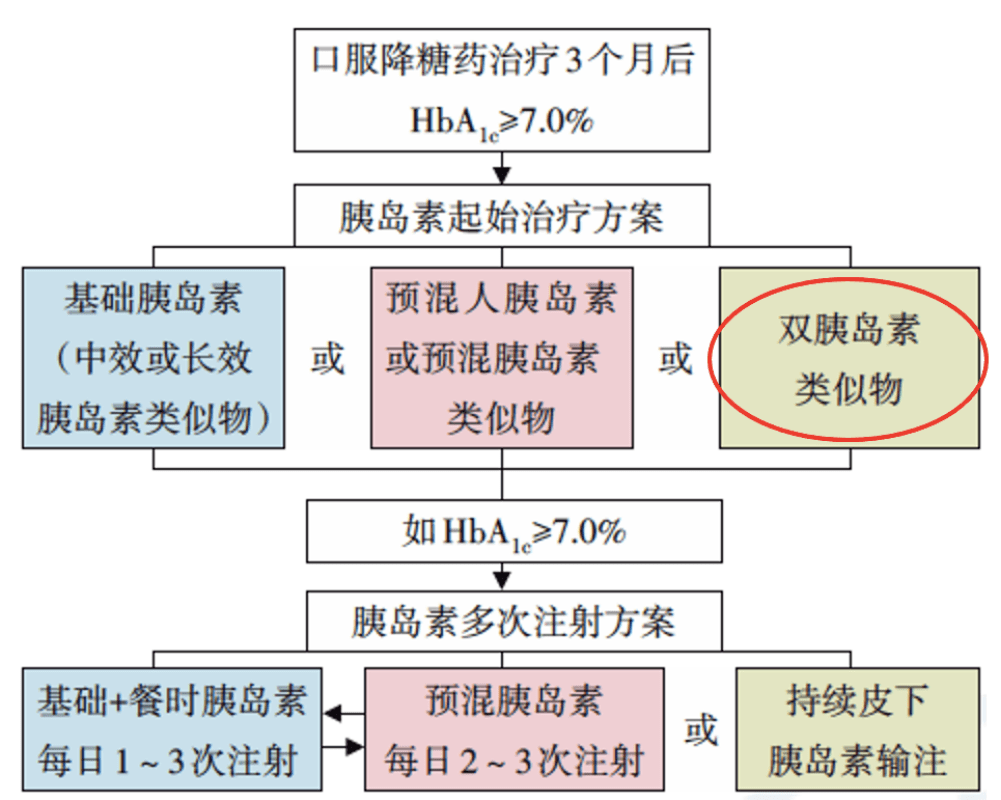 琼台礁最新动态，探索与学习指南