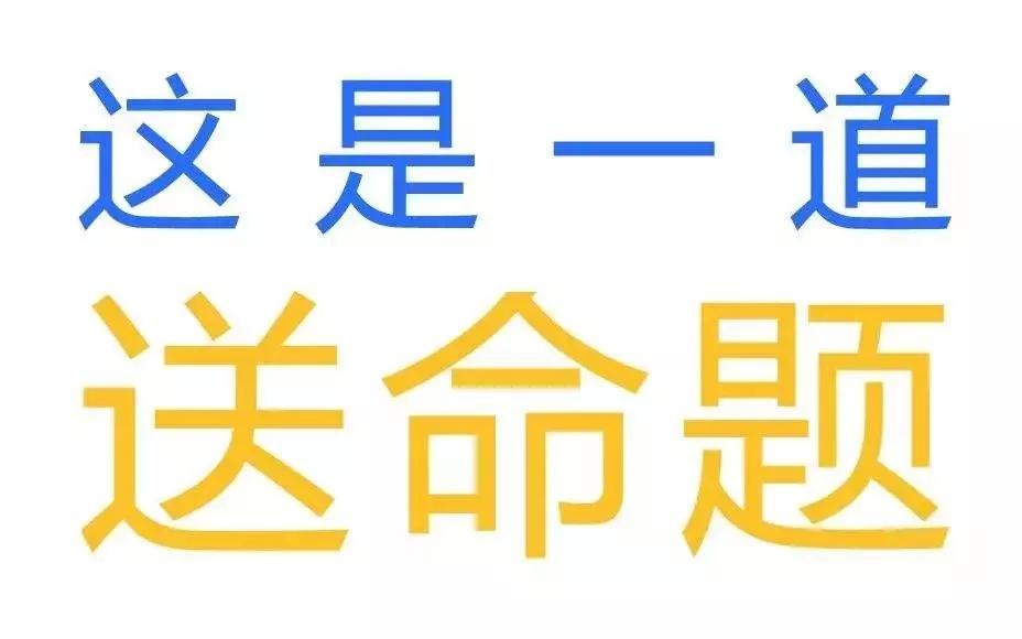 神思瑞的日常趣事与温馨时光探秘