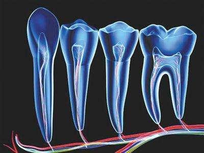 牙齿再生技术最新进展揭秘，突破性研究引领未来齿科领域革新