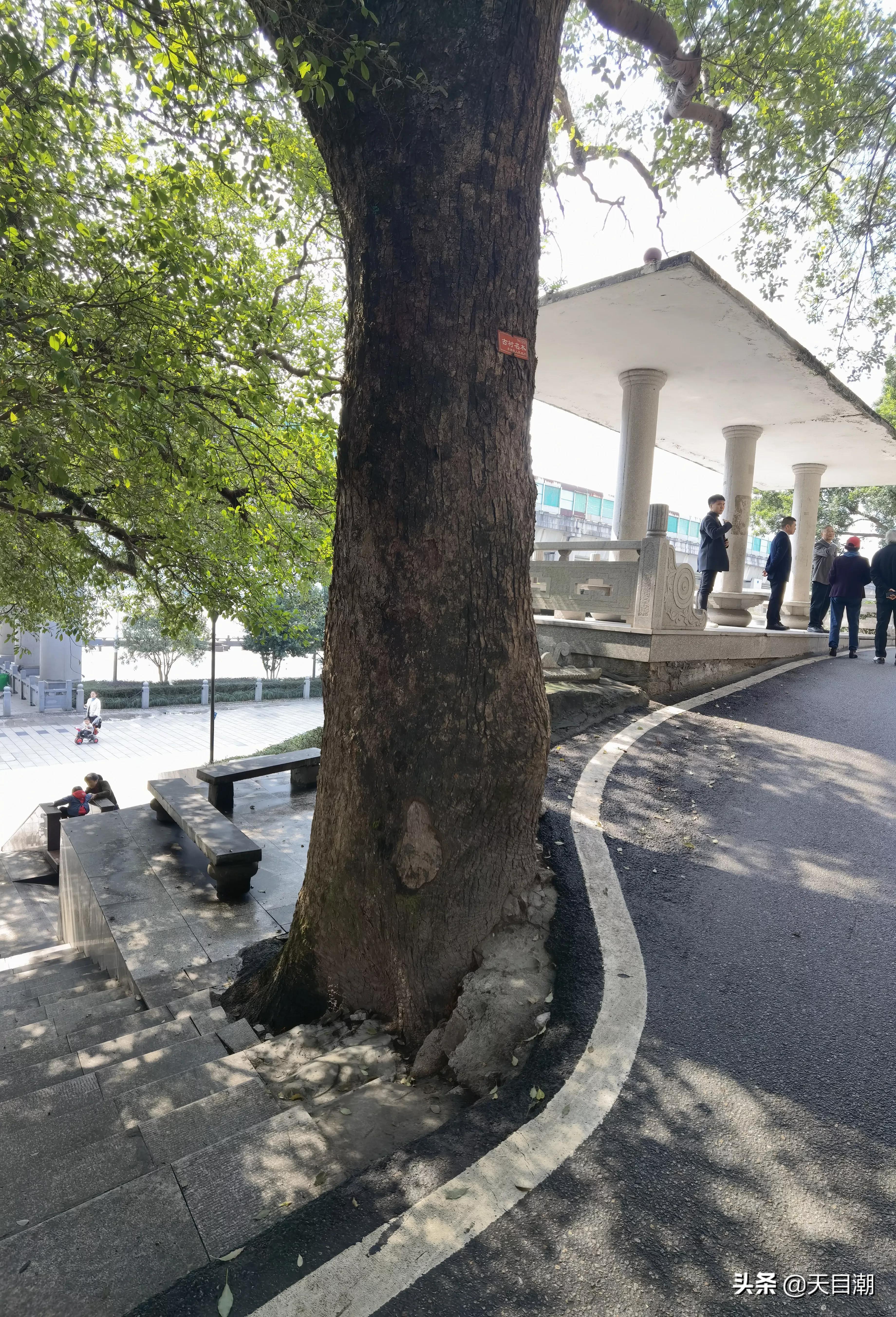 新能源汽车 第285页