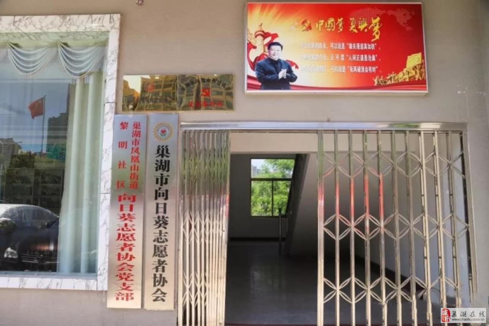 临沂义堂木业最新招聘，职业发展的理想选择