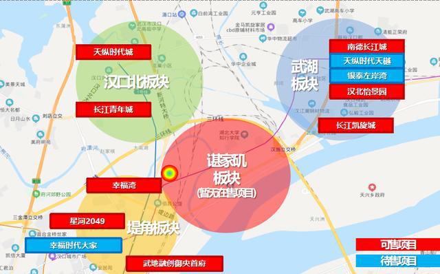 长江新城选址最新动态揭晓