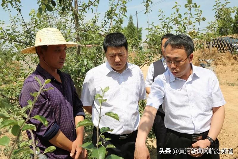 省联社改革最新动态解析与个人观点分享