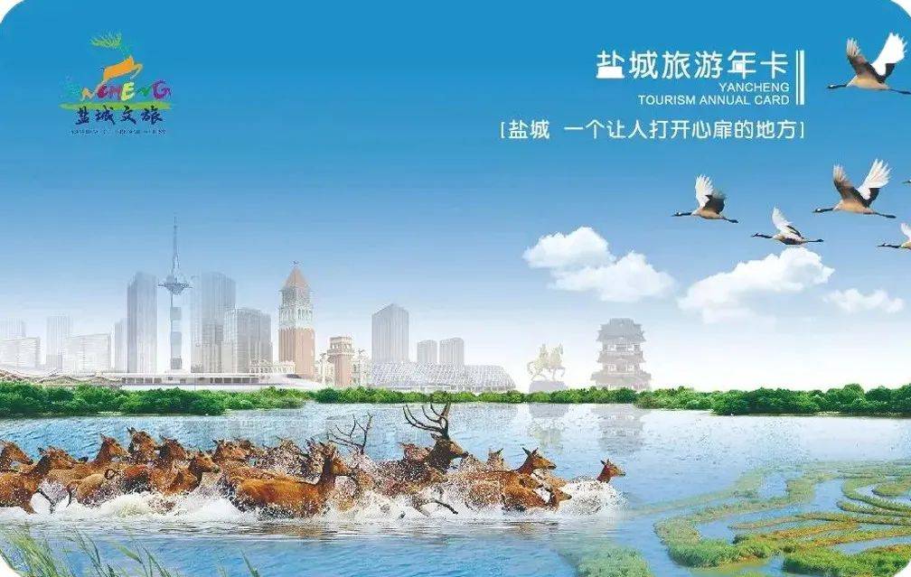 盐城大洋湾最新动态，变化中的学习之旅，自信与成就感的源泉