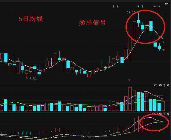 可立克股票行情详解与步骤指南