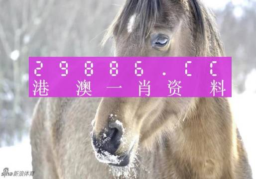 澳门一肖一码100%一中,现象分析定义_定义版57.849