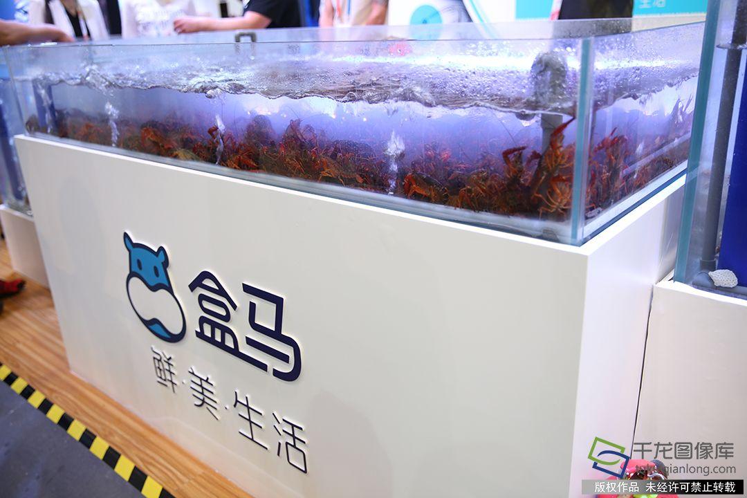 小米盒子，电影观赏新时代的便捷之选