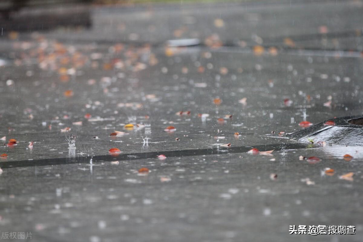 通化暴雨最新预报，观点阐述与深度分析