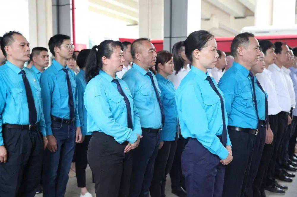 郑州白沙最新动态，全面了解与行动步骤指南