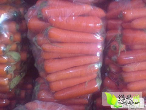 红萝卜价格最新行情获取指南及市场动态分析
