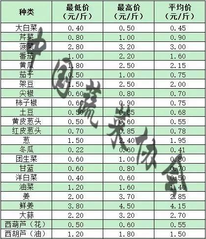 今日大白菜最新价格详解与购买指南