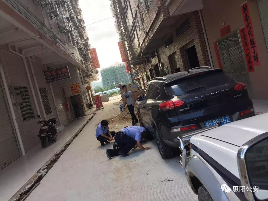 探寻蛇片魅力，最新蛇片与小巷深处的特色小店