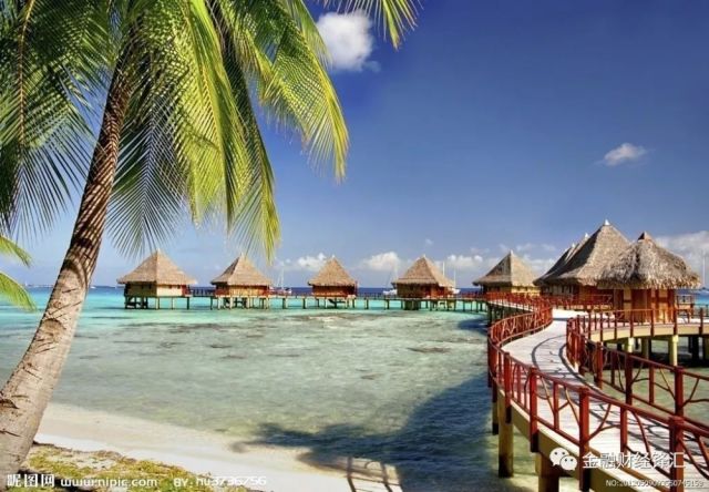 海南旅游最新动态揭秘，热带风情与温情之旅的完美结合