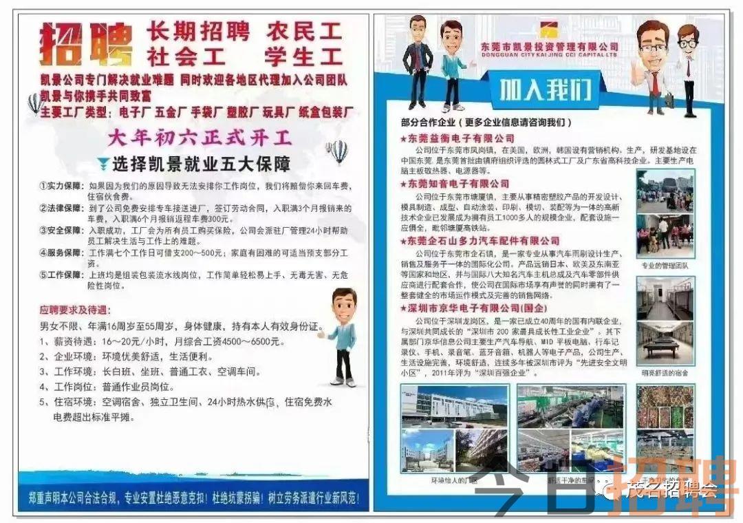 阳西最新招聘信息揭秘，阳光下的求职奇遇记