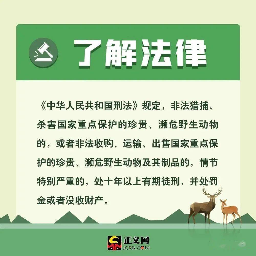 野生动物保护法最新进展及其影响，一种观点的深入阐述