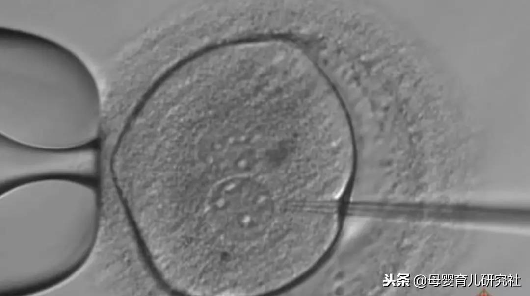 新能源汽车 第54页