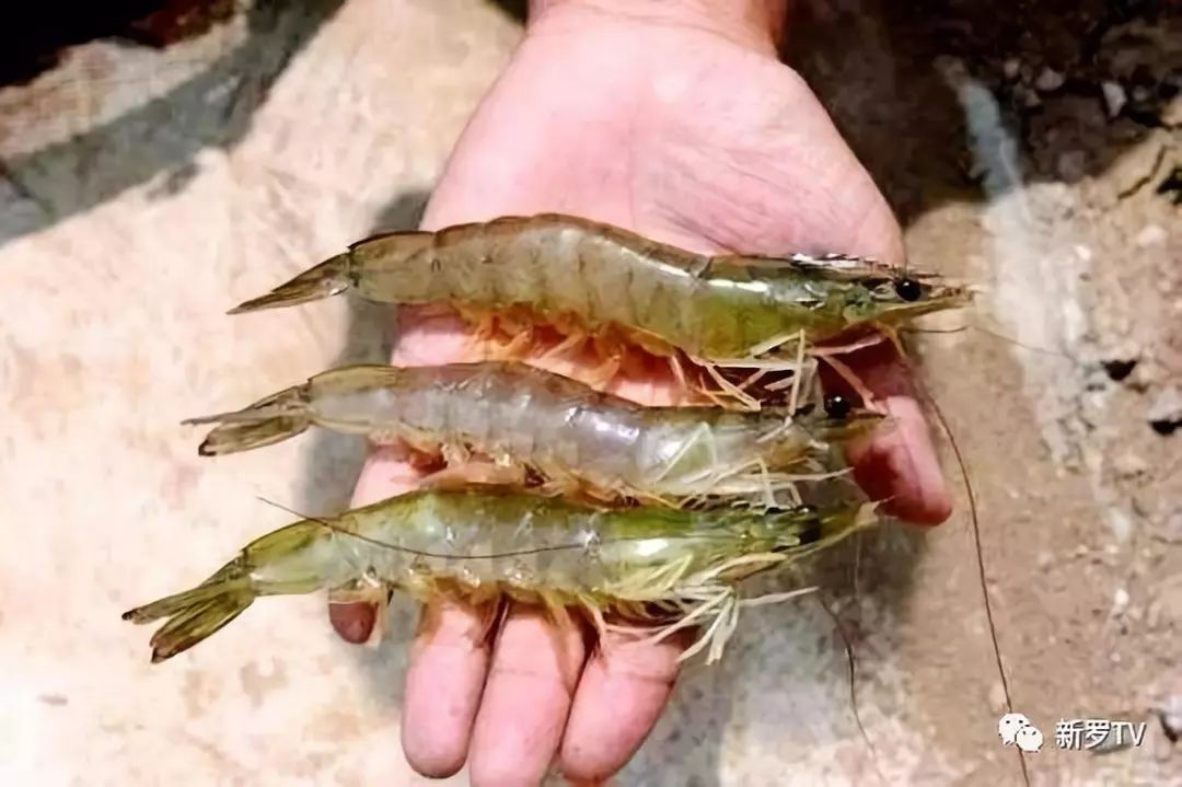 销售燃料油 第10页