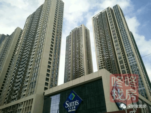 漳浦公租房最新动态更新,最新消息全面解析