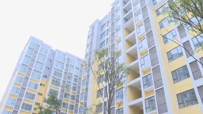 漳浦公租房最新动态更新,最新消息全面解析