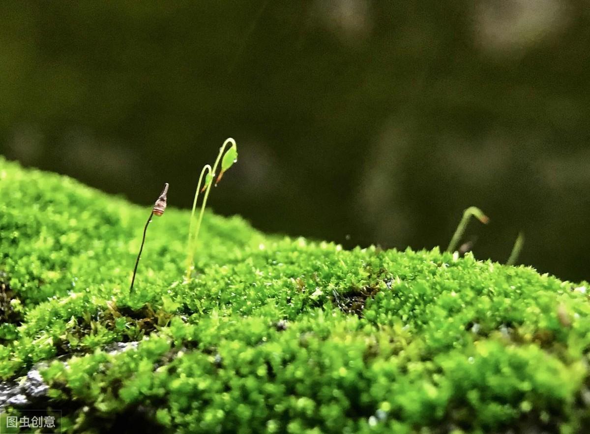 慈溪三师傅引领自然探索之旅,追寻内心宁静之地的最新报道