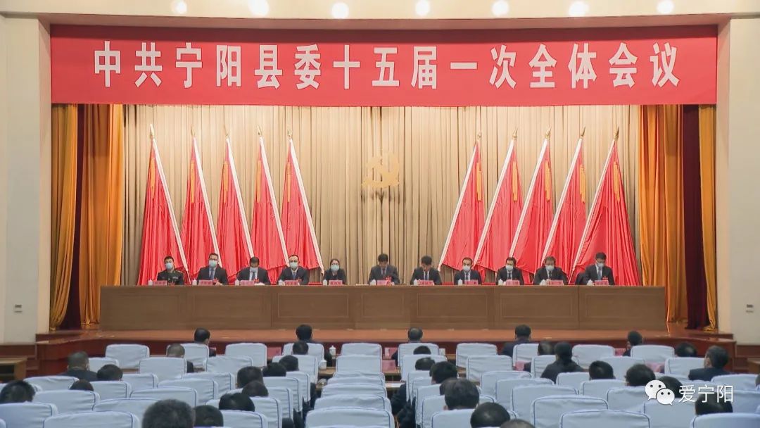 山东宁阳贴吧最新消息获取指南，最新消息一览无余！