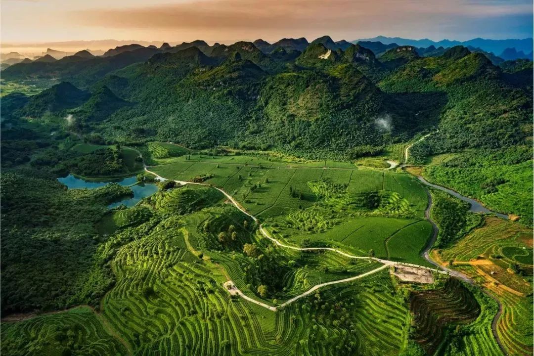 武汉小河西村最新动态,自然美景探索之旅,寻觅内心平和宁静的归宿