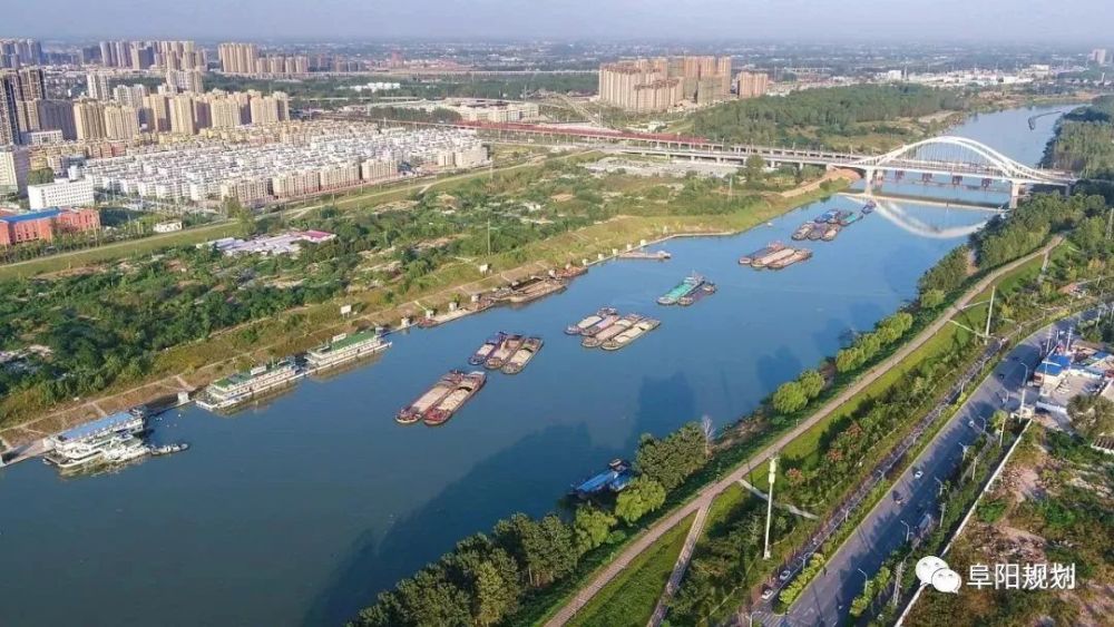 阜阳市南照镇最新动态更新