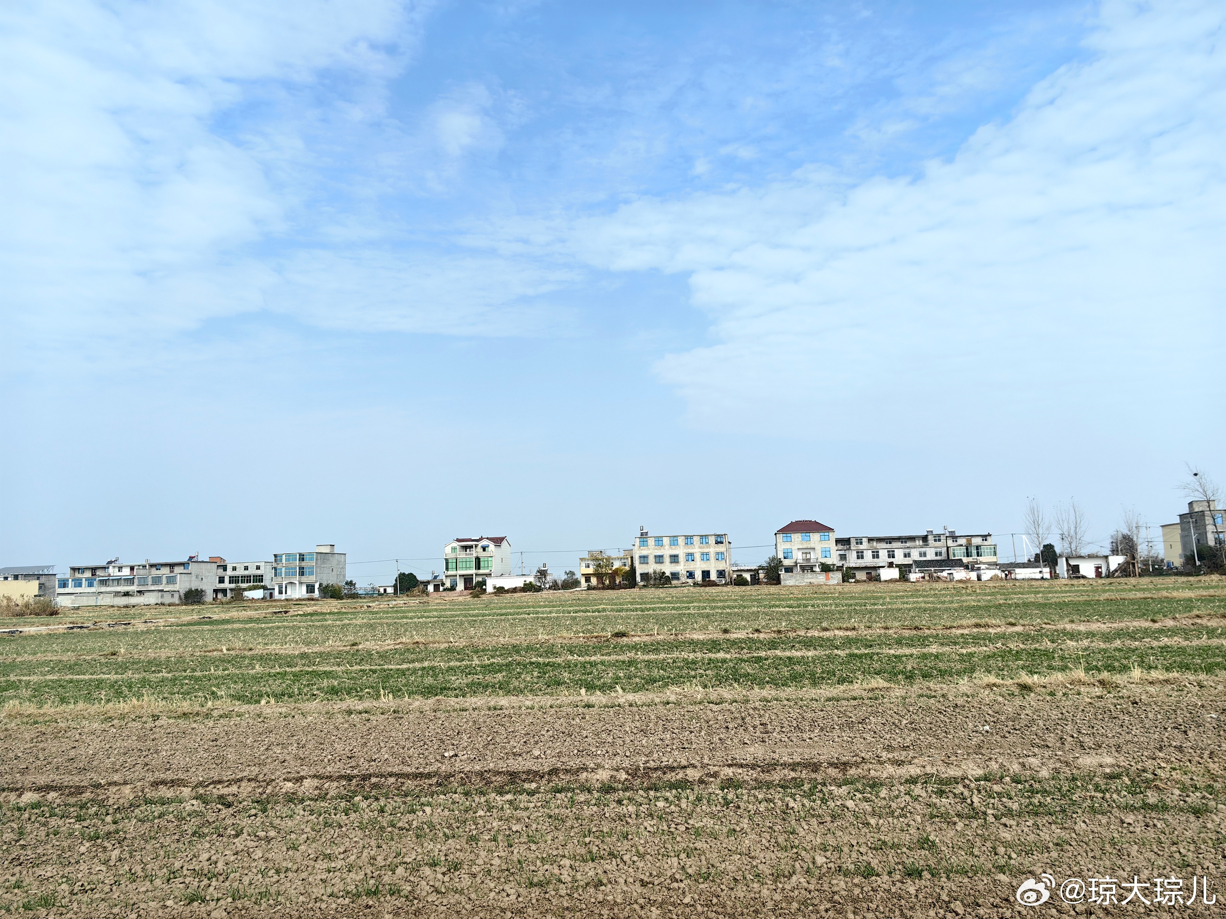 阜阳市南照镇最新动态更新