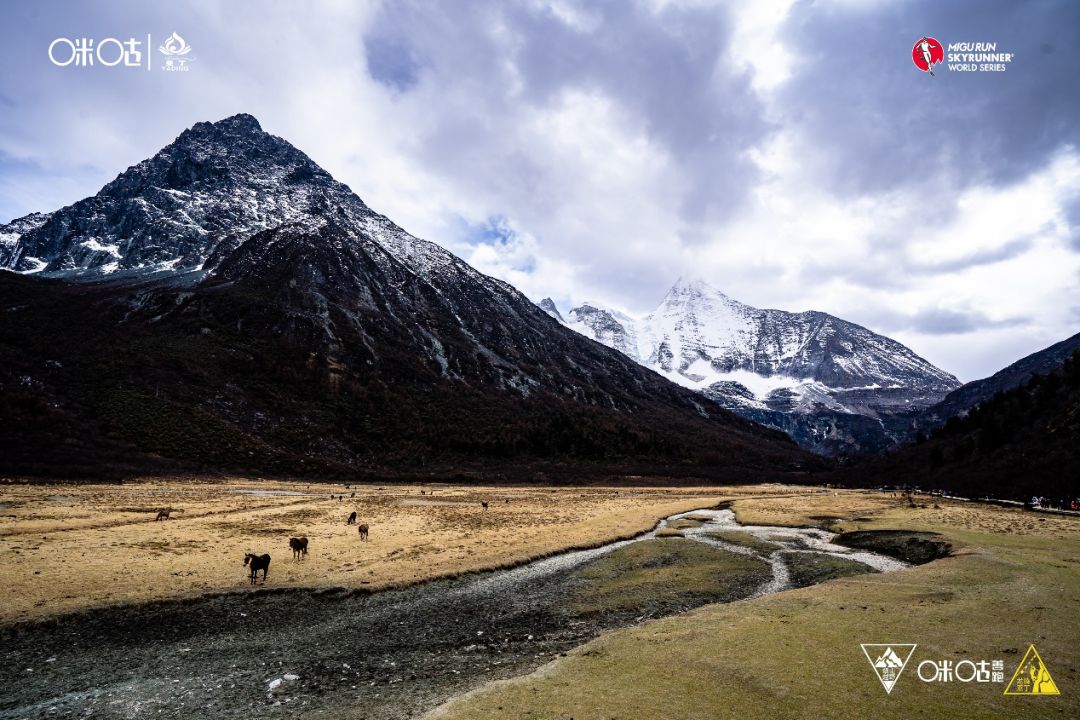 极限挑战最新一期,自然之旅的插曲与内心平和的探寻