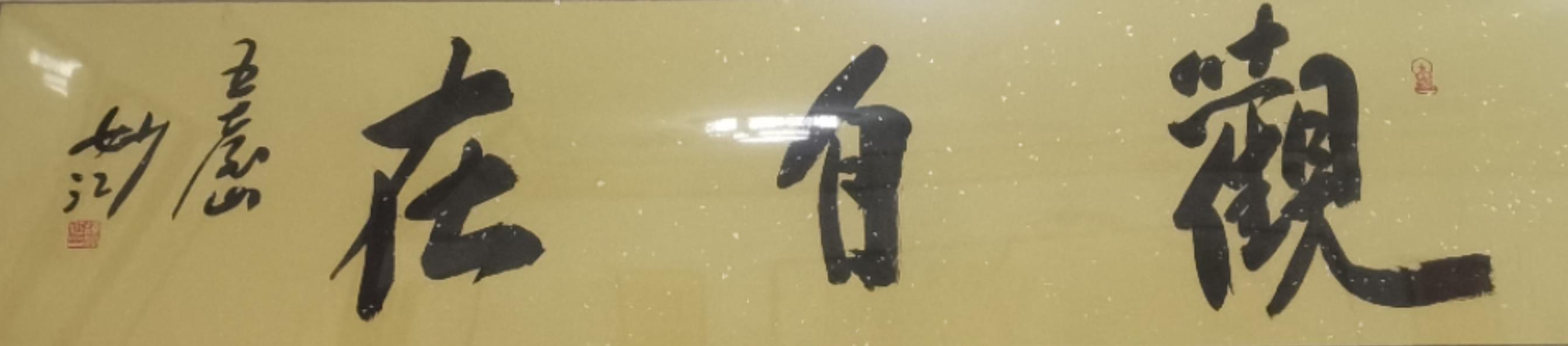 注册会计师最新报名条件解析,探寻内心平静的旅程