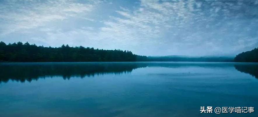 注册会计师最新报名条件解析,探寻内心平静的旅程