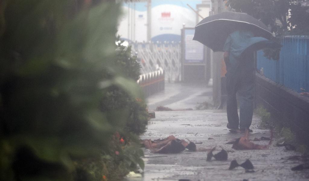 台风警报,追逐自然美景的冒险与挑战