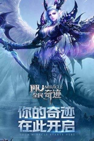 最新木瓜奇迹,心灵平静之旅的奇妙启程