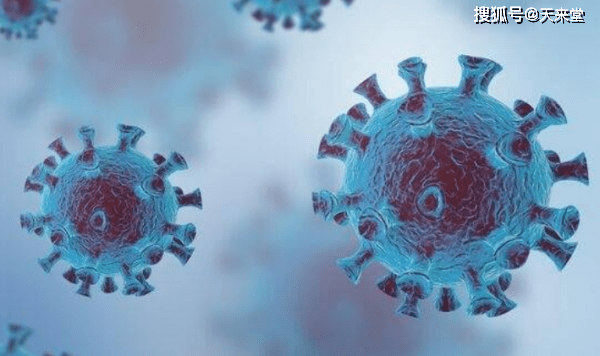 太仓最新政策引领探索自然美景之旅,寻找内心的平和宁静之旅