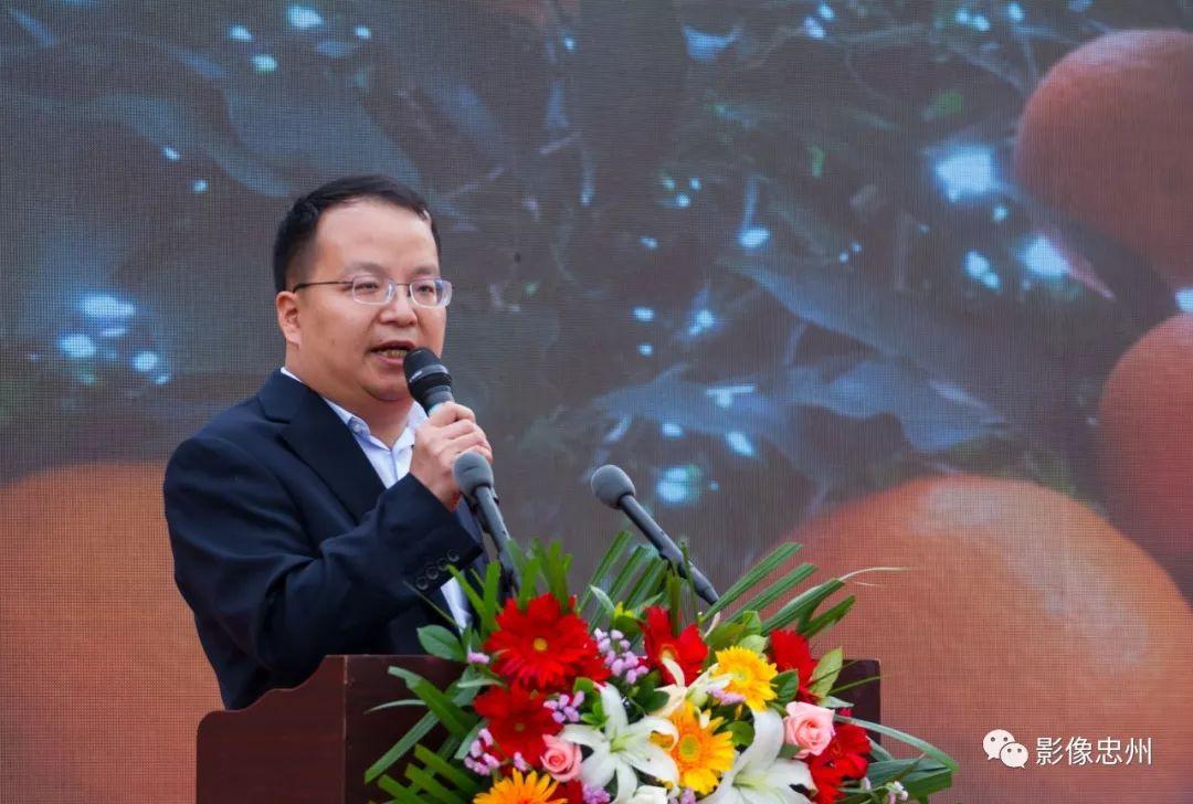 忠县新任书记与自然的邂逅,探寻内心宁静之旅