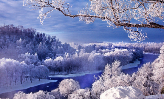 最新款长袖,自然美景探索之旅邀请