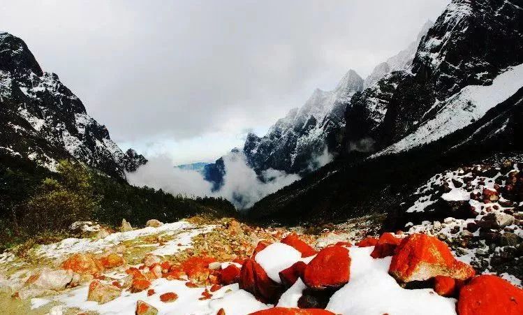 红魔最新之旅,自然美景的轻松探索之旅