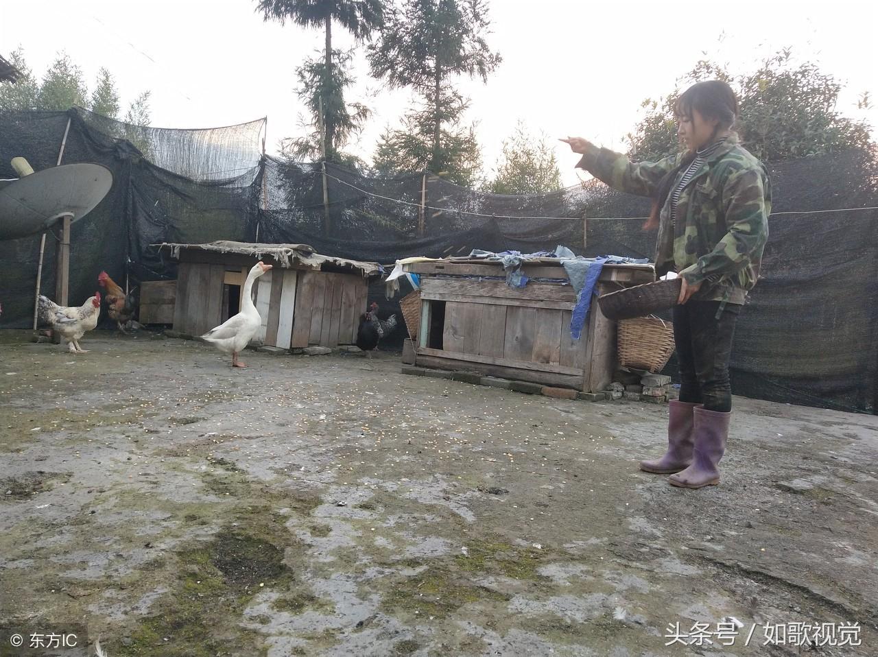 彝族电影,自信与成就感的源泉之路