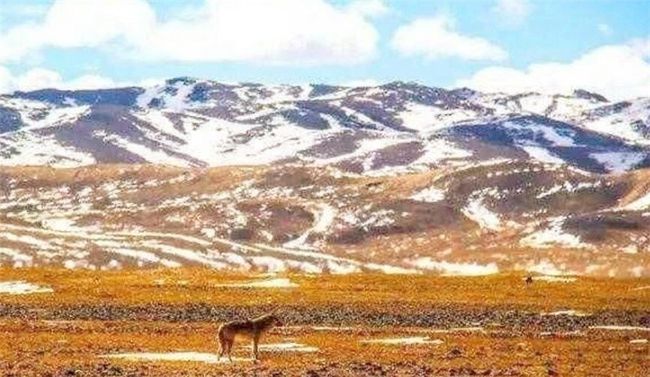失联大学生最新动态揭秘,探索自然美景之旅,追寻内心平静与喜悦的征途
