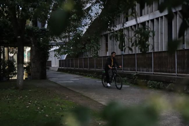 南海事件最新动态与小巷深处的独特风味探秘