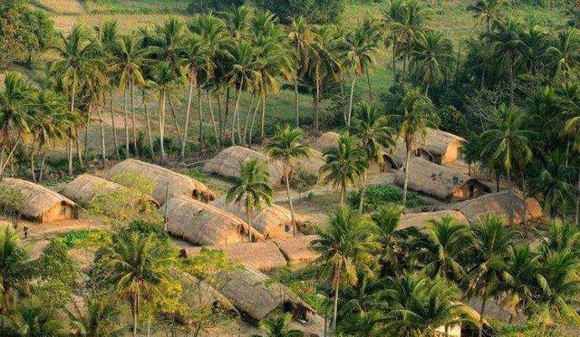 最新3DH技术,自然美景探索之旅的引领者