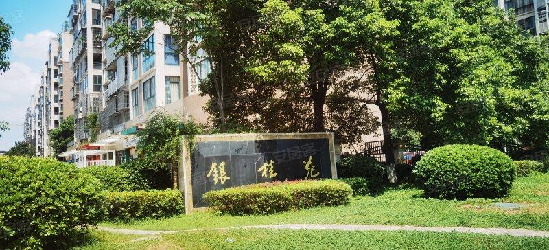 椒江银桂苑最新动态更新